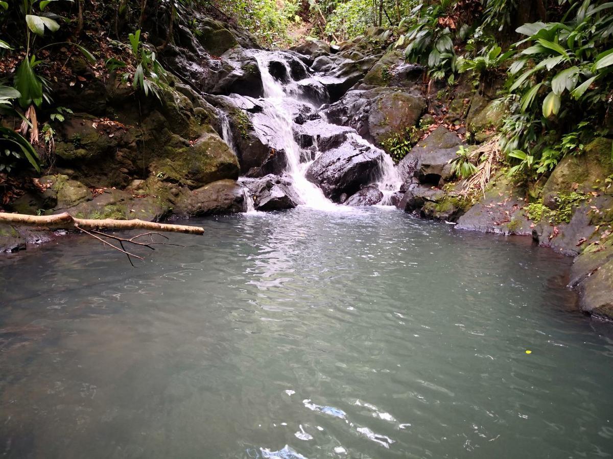 Hébergement de vacances Duplex La Rivière